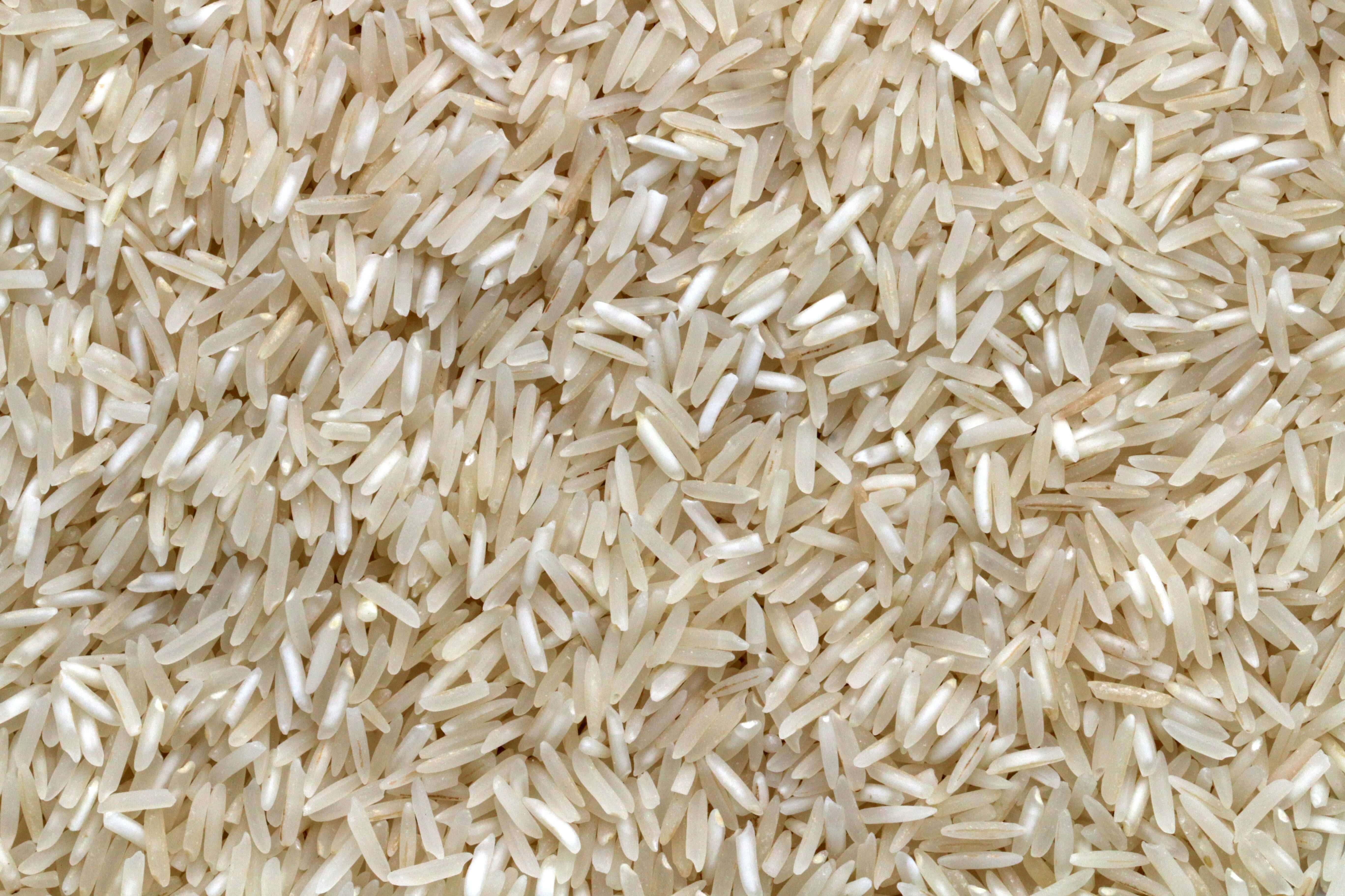 IRRI-9 Sella Rice