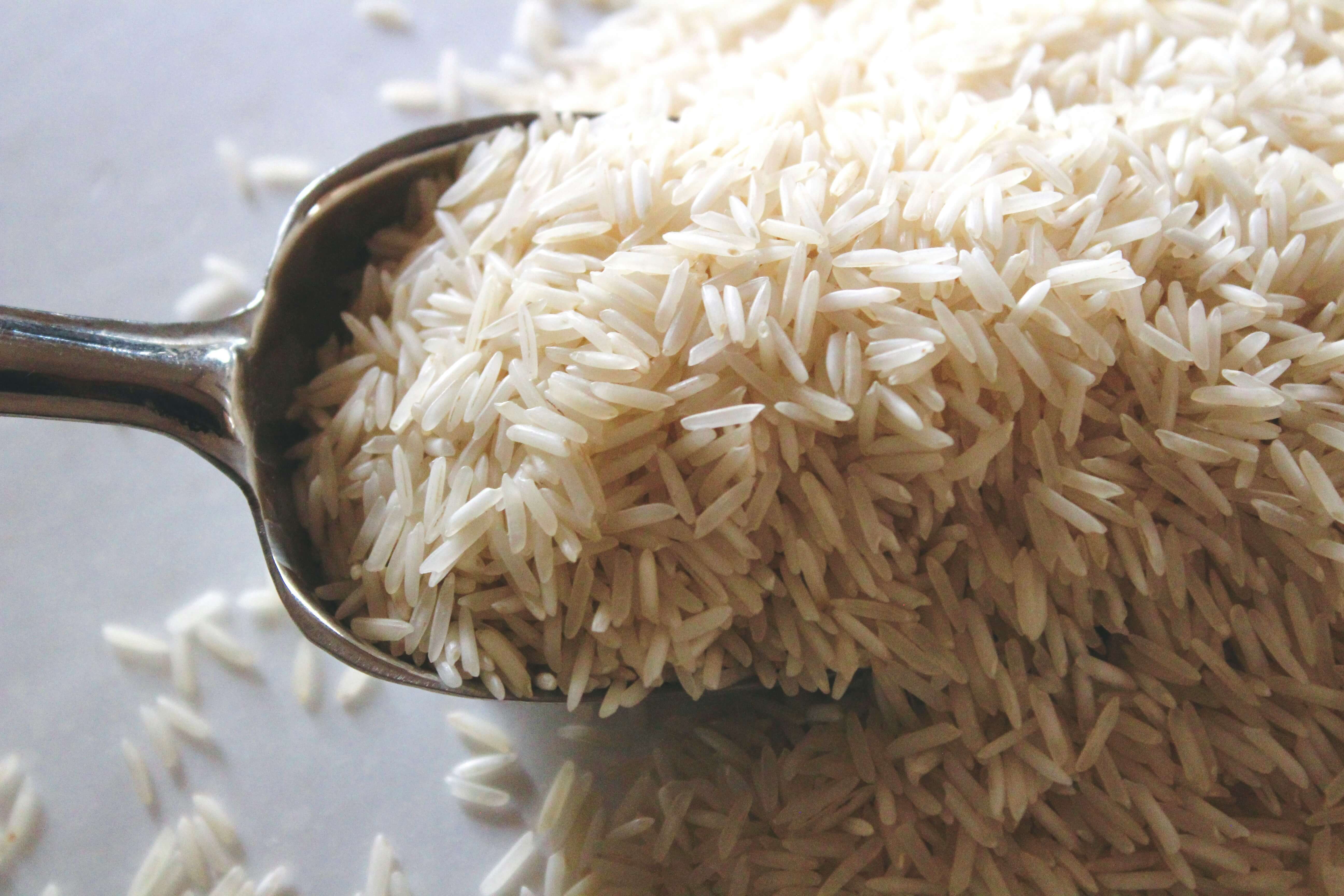 IRRI-9 White Rice