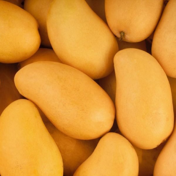 Mangoes